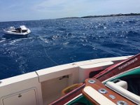 Boats